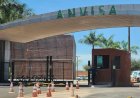 Anvisa aprova vacina contra chikungunya do Butantan e Valneva