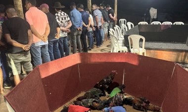 Batalhão de Operações Ambientais atua contra prática ilegal de Rinha de Galo