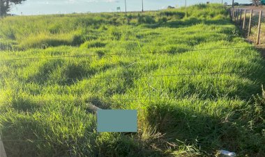 Corpo de um homem foi encontrado  próximo a cidade de Petrolina de Goiás